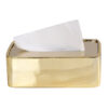 Gold Iron Tissue Box