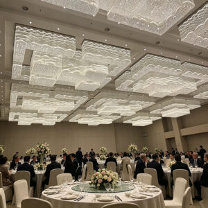 Wedding & Banquet Lighting
