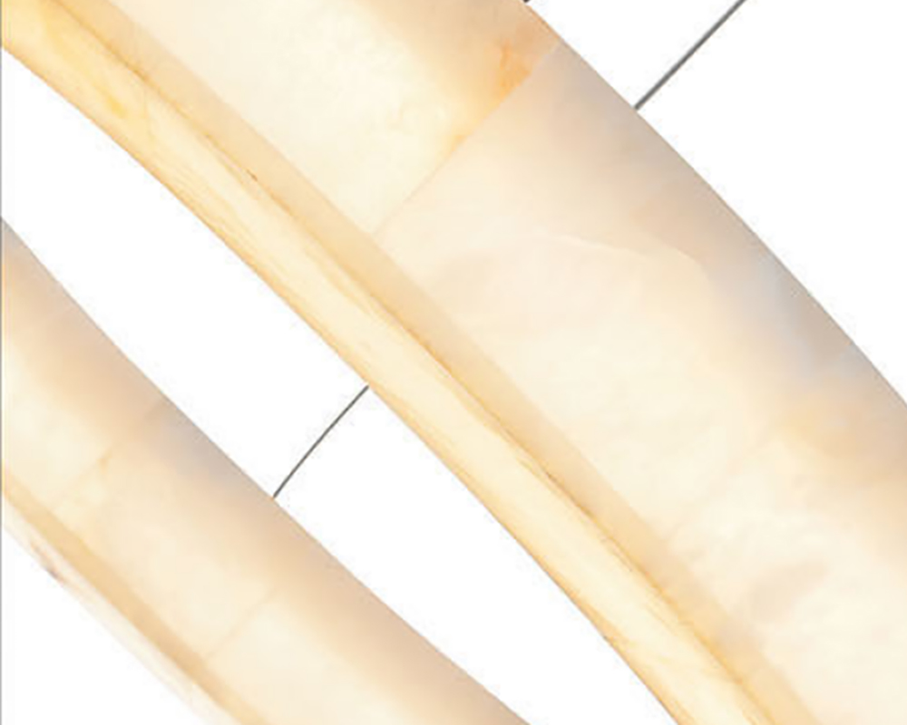 Villa & Residence Lighting