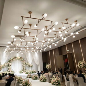 Wedding & Banquet Lighting
