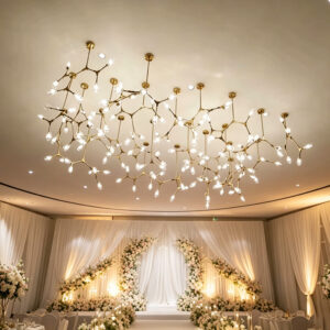 Wedding & Banquet Lighting